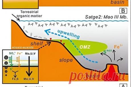 Пермское вымирание связали с извержением вулканов. Ученые Нанкинского университета в Китае показали, что массовое вымирание морских организмов в пермском периоде связано со снижением уровня кислорода из-за извержения вулканов. К такому выводу они пришли, проанализировав образцы отложений, полученных из карьера Чжигао в верховьях реки Янцзы.