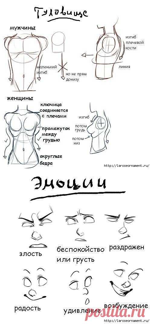 Советы для начинающих художников.