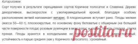 Яблоня | Supersadovod - о саде и огороде просто и интересно