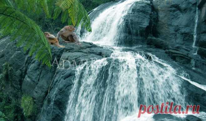 Национальный парк Яла - Шри Ланка
http://blog.fdm-diving.com/