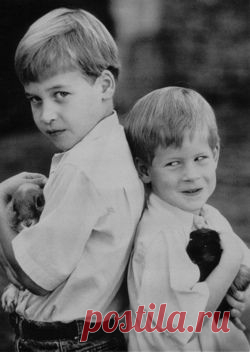 CURIOUS GRAFFITI - lovelydianaprincessofwales: Young Prince William...