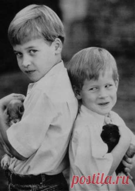 CURIOUS GRAFFITI - lovelydianaprincessofwales: Young Prince William...