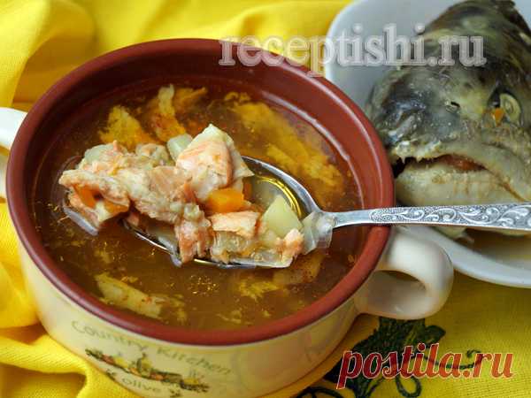 Рыбный суп из головы и хребтов семги, форели, лосося