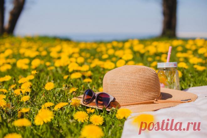 Что нас ждет летом 2024: рассказывает астролог | АСТРОЛОГ АННА РОМАХОВА | Дзен