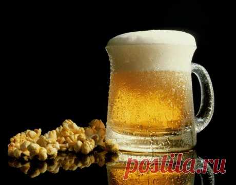 Как приготовить домашнее пиво?.