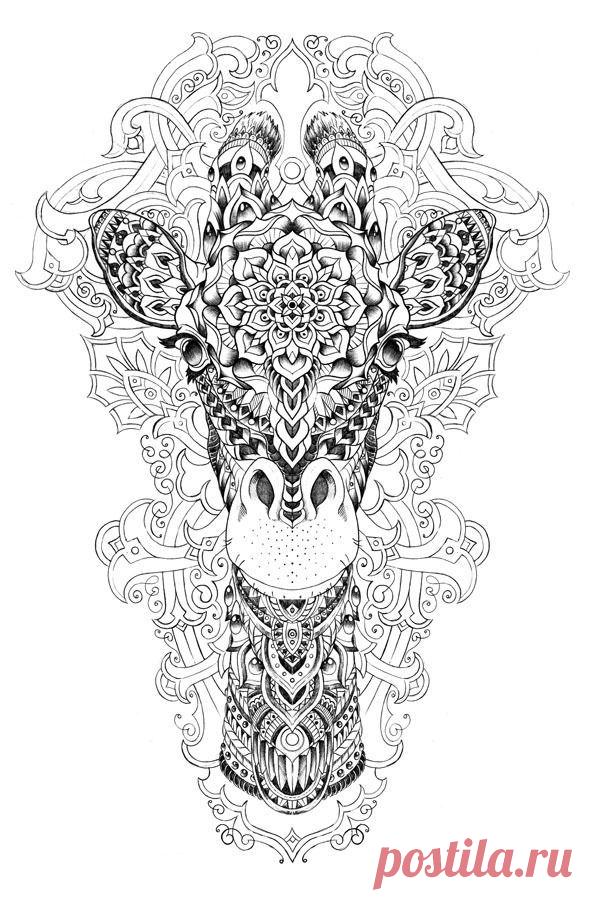 Зентангл (zentangle) - арт~картинки для творчества.