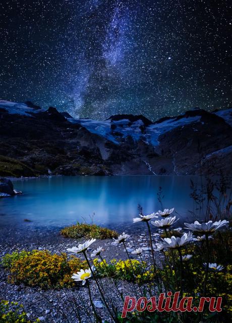 mxtraculous • coiour-my-world: gauli margheriten ~ cmoon...