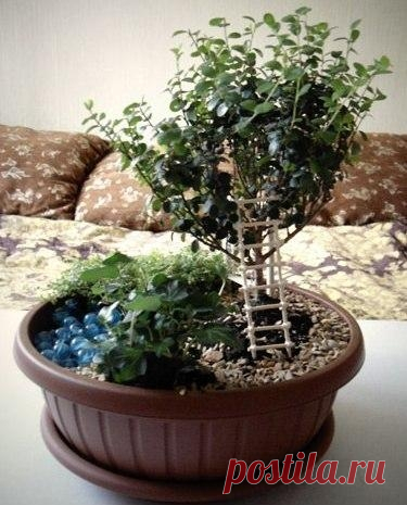 Мини-сад в горшке