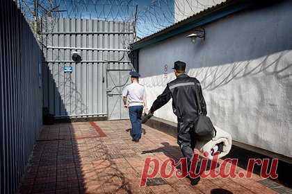 Пьяный россиянин похитил бывшую жену и несколько дней избивал ее. В Омской области суд приговорил 54-летнего жителя поселка Большеречье к полутора годам колонии общего режима за похищение бывшей жены и насилие над ней. Мужчину признали виновным по четырем статьям, среди которых 117 («Истязание») и 126 («Похищение человека») УК РФ. 16 мая осужденный выпил и затолкал женщину в машину.