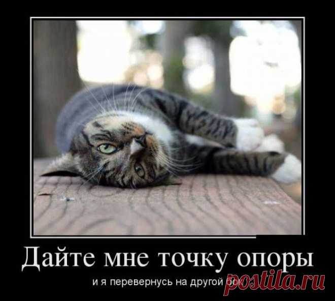 котэ