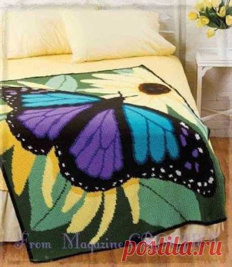 Irish crochet &: BLANKET BUTTERFLY