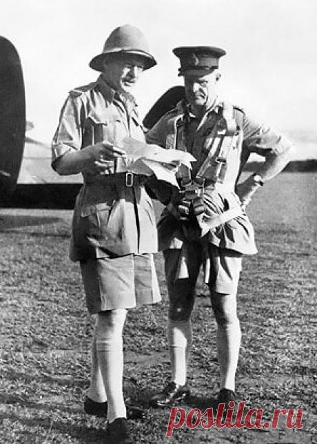 С чем и как носить бермуды в тёплый сезон года
Немногие вещи приходят в моду, уже имея собственное название. В случае с...
Читай пост далее на сайте. Жми ⏫ссылку выше