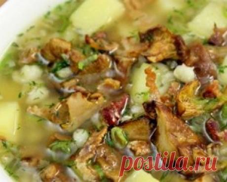 Рецепт: Грибной суп с перловкой и шкварками - Рецепты - Кулинарные рецепты, диеты, меню, рецепты блюд. Smak.ua: Ты - кулинар!