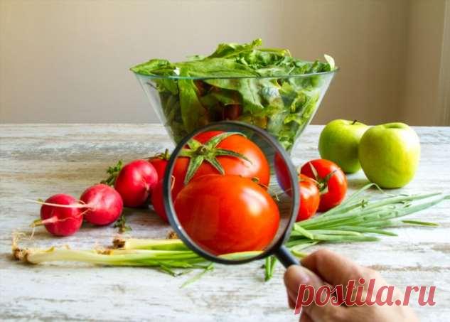 Не только рыба фугу: 12 «ядовитых» продуктов на вашем столе | Краше Всех