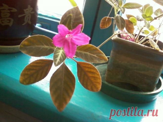 Жанна Соловьёва