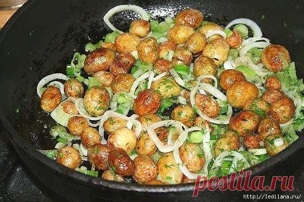 Три вкусных рецепта блюд из молодой картошки.