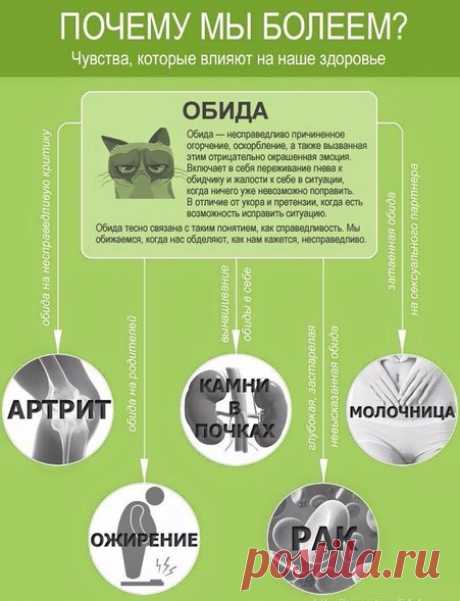 Психосоматика или чувства, которые влияют на наше здоровье