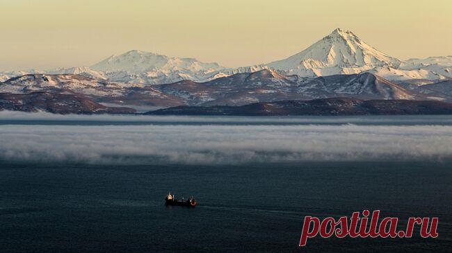 Работу госучреждений Камчатки перевели на удаленку из-за непогоды