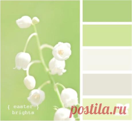 (886) Pinterest: инструмент для поиска и хранения интересных идей
