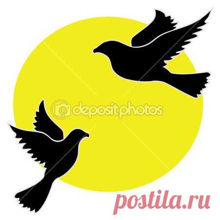Дикий голубь — Стоковое векторное изображение © Vadim0001 #47698877