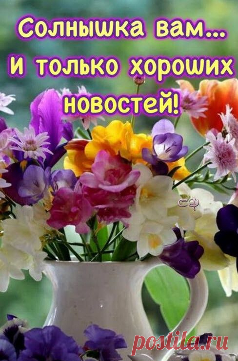 Фотоальбом Разное группы Красивые открытки