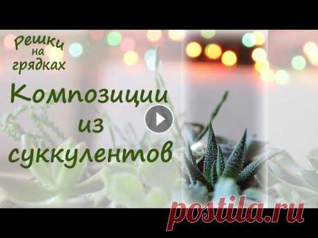 Шикарные композиции из суккулентов! DIY: Мини-сад в горшке! В этом предновогоднем видео мы расскажем и покажем, как сделать в подарок красивые композиции из суккулентов, сад в горшке, мини-сад. Одно можно сказа...