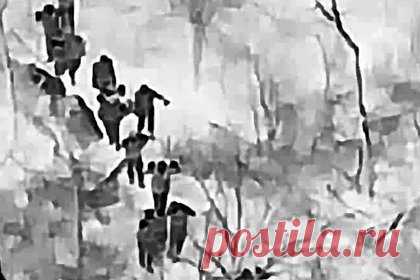 Сдачу в плен 25 морпехов ВСУ в Димитрове сняли на видео