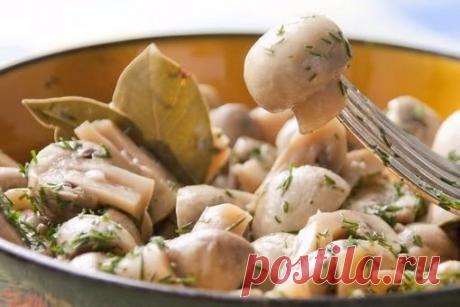 ВКУСНЕЙШИЕ ГРИБОЧКИ В ЛЁГКОМ МАРИНАДЕ

Обязательно попробуйте!

Ингредиенты:
500 гр - шампиньонов
2-3 зубчика - чеснока
50 мл - 5% яблочного уксуса
50 мл - растительного масла
1/4 стакана - воды
4-5 - лавровых листочков
2 ч. ложки - сахара
1 ч. ложка- соли
10 горошин - черного перца
зелень укропа

Приготовление:
1. Грибы вымыть, крупные грибы нарезать на половинки или четвертинки.
2. Чеснок выдавить через пресс.
3. В глубокой сковороде разогреть растительное масло, положит...