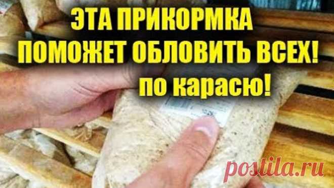 ПРИКОРМКА ДАЁТ ЖАРУ! ЕЁ СОСТАВ ЗДЕСЬ, СДЕЛАЛ САМ ЗА КОПЕЙКИ, ВИШНЁВАЯ ПРИКОРМКА НА КАРАСЯ
