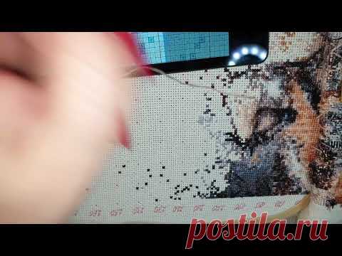 ТЭГ Мой идеальный набор для вышивки многоцветки