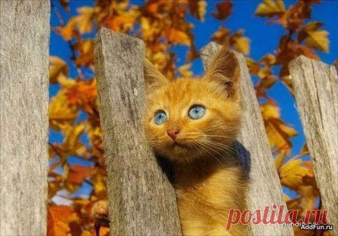 Ну, разве я не солнышко?