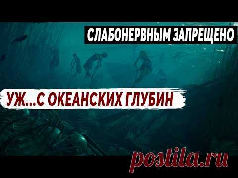 ТАЙНЫ ГЛУБОКОВОДНЫХ ВПАДИН МИРОВОГО ОКЕАНА!!! МОРОЗ ПО КОЖЕ!!! (19.06.2020) ДОКУМЕНТАЛЬНЫЙ ФИЛЬМ HD
