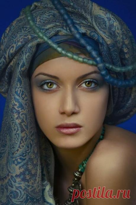 «Находите рецепты, советы по дизайну жилья, собственному стилю и другие идеи.» — карточка пользователя Дмитрий С. в Яндекс.Коллекциях