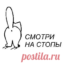 Владислав Александровский