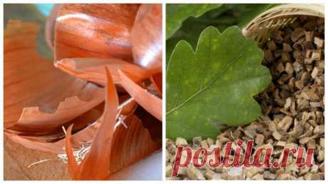 Окрашивание волос луковой шелухой. Пережиток прошлого или полезный лайфхак? - Chexov.net