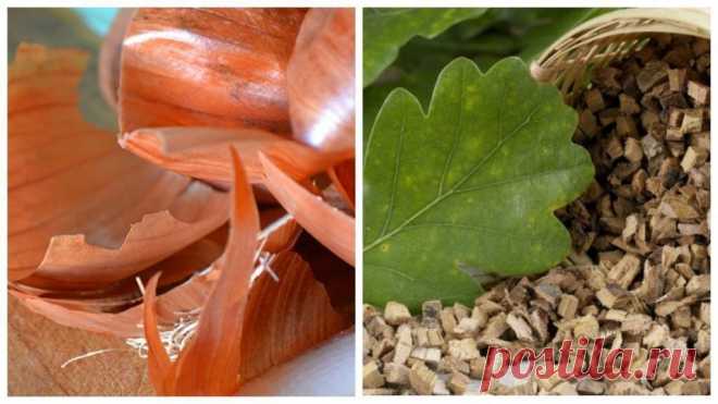 Окрашивание волос луковой шелухой. Пережиток прошлого или полезный лайфхак? - Chexov.net