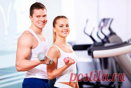 Как правильно составить программу тренировок в зале (ФОТО) :: Фотокомплексы :: JV.RU