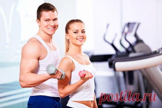 Как правильно составить программу тренировок в зале (ФОТО) :: Фотокомплексы :: JV.RU