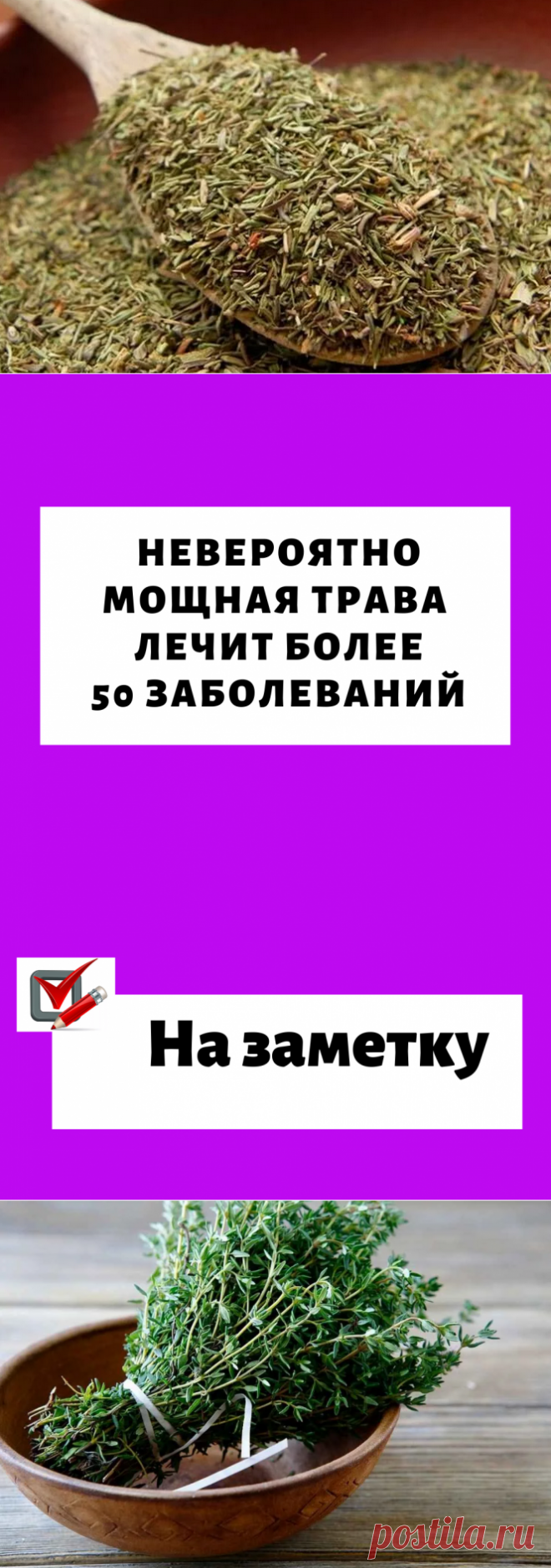 Невероятно мощная трава уничтожает стрептококк, герпес, кандиду, вирус гриппа и лечит более 50 заболеваний