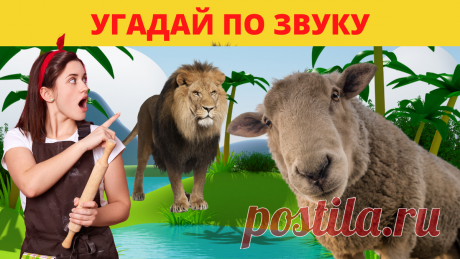 Тесты "Угадай по звуку" | Дом 49 — Тесты Викторины География + Инвестиции Страхование Недвижимость | Яндекс Дзен