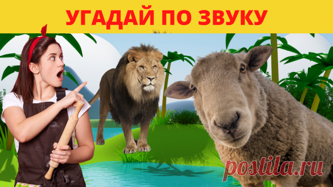 Тесты 