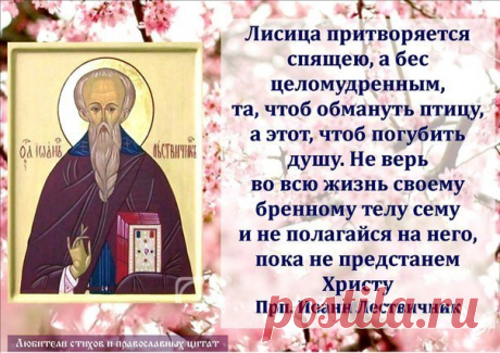 Мой Мир@Mail.Ru