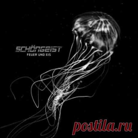 Schöngeist - Feuer Und Eis (2025) [Single] Artist: Schöngeist Album: Feuer Und Eis Year: 2025 Country: Germany Style: Gothic Metal, NDH