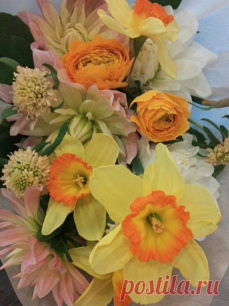 флористика