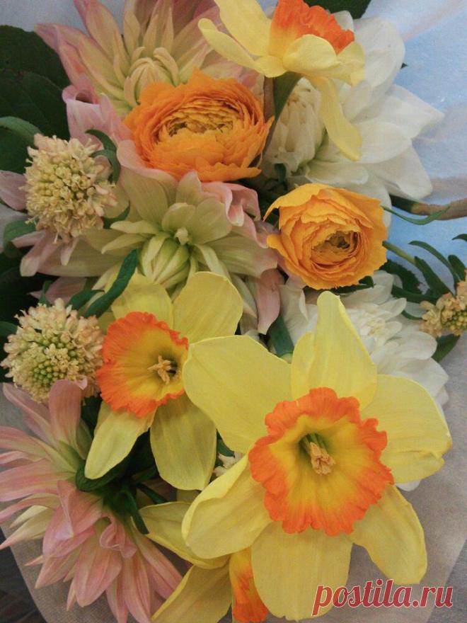 флористика