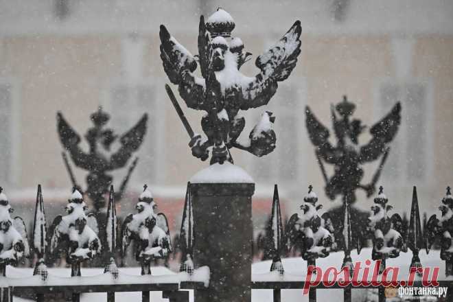 Снегопад в Петербурге прекратился - 12 января 2025 - ФОНТАНКА.ру