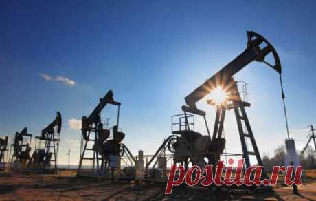 Цена на нефть марки Brent достигла максимума за последние пять месяцев | МК - Лондон