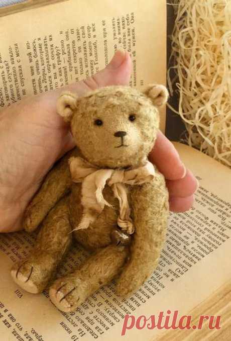 Little classic Bear By Elena Kirillova - Bear Pile