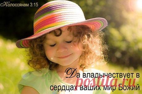 Фотоальбом «Мои фотографии» - Владимир, Санкт-Петербург, 51 год