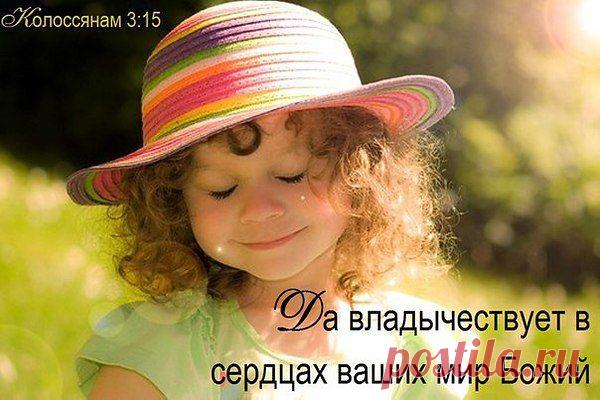 Фотоальбом «Мои фотографии» - Владимир, Санкт-Петербург, 51 год